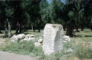 Foto del monolite osservato da Sud. Compare nella foto dietro al menhir anche l'adiacenta piccola specchia.