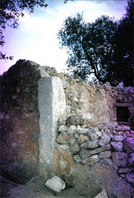 Vista da Nord-Ovest del Menhir di Santa Loja. Foto del 1998 realizzata da Oreste Caroppo.