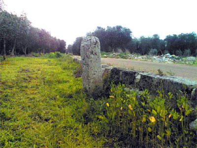 vista da Nord-Est del Menhir ‘Croce Spinosa’. Foto 6/02/2006