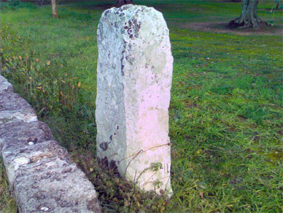 vista da Ovest del Menhir Croce Spinosa