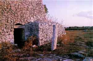 Foto del 12/09/1993. In questa foto si possono osservare le tracce, sui lati del monolite, delle scanalature scolpitevi in testa. Si osservi anche la pietra d' angolo sulla sommit dello spigolo del muro di rinforzo a destra dell' ingresso del trullo;  questa la pietra citata nel testo, che presenta una scanalatura puntante verso il menhir, e che nella foto si pu debolmente scorgere. Le facce del menhir che qui si osservano sono quelle meglio conservate e originali, ricoperte da spessi licheni. Si pu osservare anche la sottile lastra  sotto l' architrave dell' ingresso al trullo, alla destra dello stesso, che ospita un iscrizione lungo il lato rivolto nel transetto d accesso.