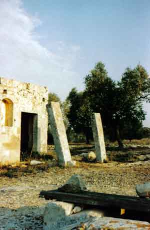 Vista dei due Menhir Gemelli di Montevergine. Si vede in primo piano la cisterna e a sinistra l' abitazione. 
