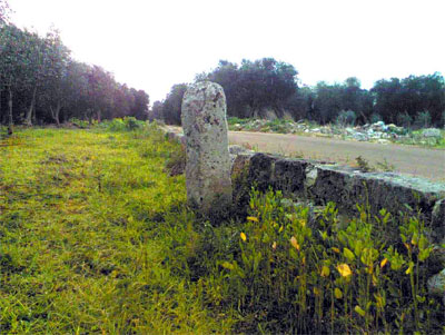 vista da Nord-Est del Menhir Croce Spinosa. Foto 6/02/2006