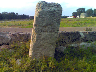 vista da E-SE del Menhir Croce Spinosa. Si noti al centro il solco descritto. Foto del 6/02/2006