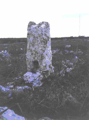 Vista del menhir  da Est